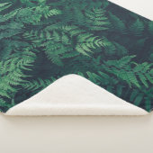 Couverture Sherpa Forests | Woodland Ferns (3/4)