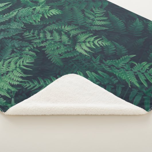 Couverture Sherpa Forests | Woodland Ferns (3/4)