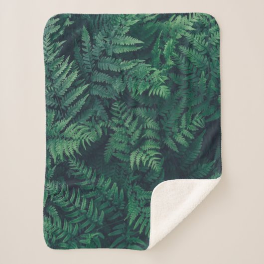 Couverture Sherpa Forests | Woodland Ferns (Devant)