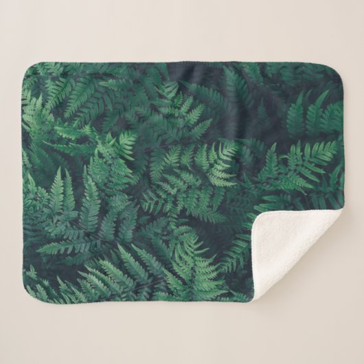 Couverture Sherpa Forests | Woodland Ferns (Devant (Horizontal))