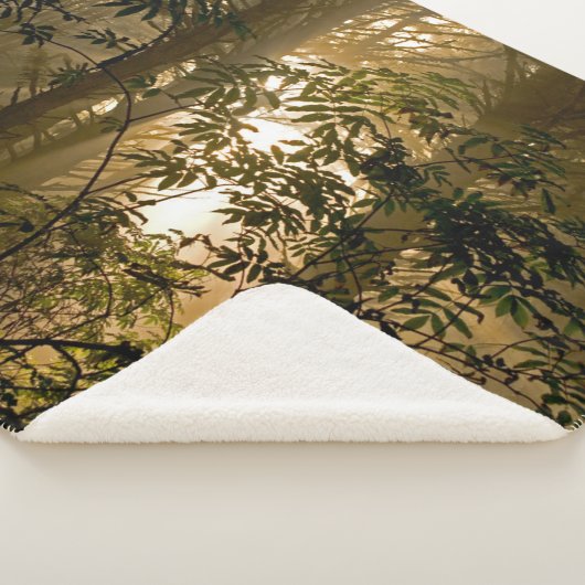 Couverture Sherpa Forêt à feuillage persistant | Côte de l'Oregon (3/4)