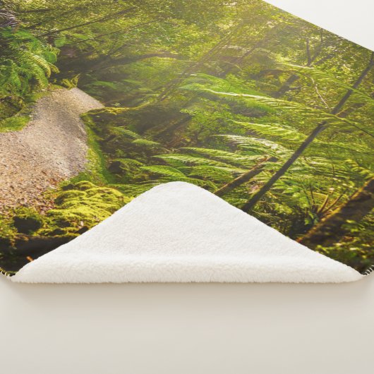 Couverture Sherpa Forêt | Chemin De Marche Dans La Forêt (3/4)