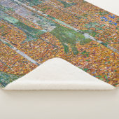 Couverture Sherpa Forêt de Birch | Gustav Klimt | (3/4)