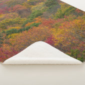 Couverture Sherpa Forêt de feuillus dans le comté de Randolph, Virgi (3/4)