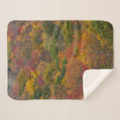 Couverture Sherpa Forêt de feuillus dans le comté de Randolph, Virgi (Devant (Horizontal))