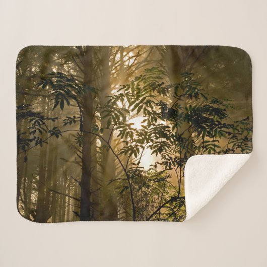Couverture Sherpa Forêt de feuillus persistants | Côte de l'Oregon (Devant (Horizontal))