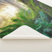 Couverture Sherpa Forêt de la côte pacifique, Oregon (3/4)