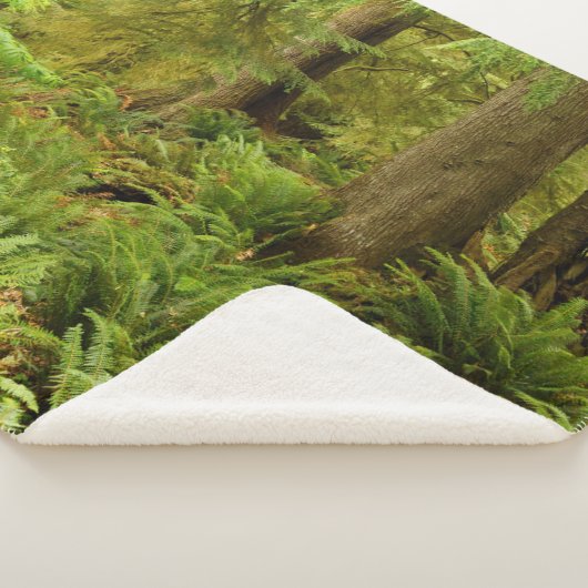 Couverture Sherpa Forêt luxuriante et fougères | Ecola State Park, O (3/4)