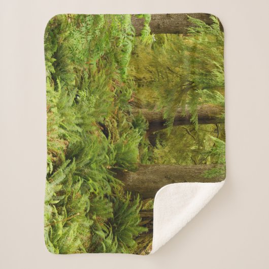 Couverture Sherpa Forêt luxuriante et fougères | Ecola State Park, O (Devant)