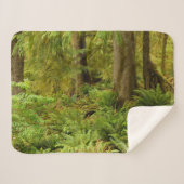 Couverture Sherpa Forêt luxuriante et fougères | Ecola State Park, O (Devant (Horizontal))