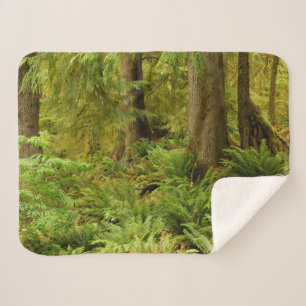 Couverture Sherpa Forêt luxuriante et fougères Parc d'État Ecola,