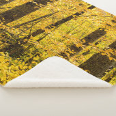 Couverture Sherpa Forêt nationale de Fall Pisgah (3/4)