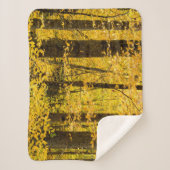 Couverture Sherpa Forêt nationale de Fall Pisgah (Devant)