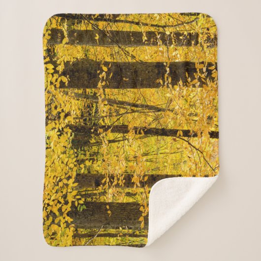 Couverture Sherpa Forêt nationale de Fall Pisgah (Devant)