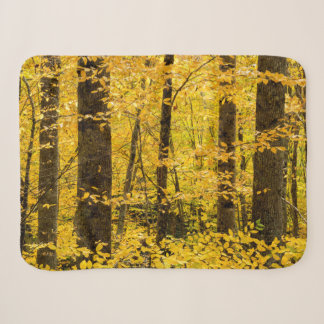 Couverture Sherpa Forêt nationale de Fall Pisgah
