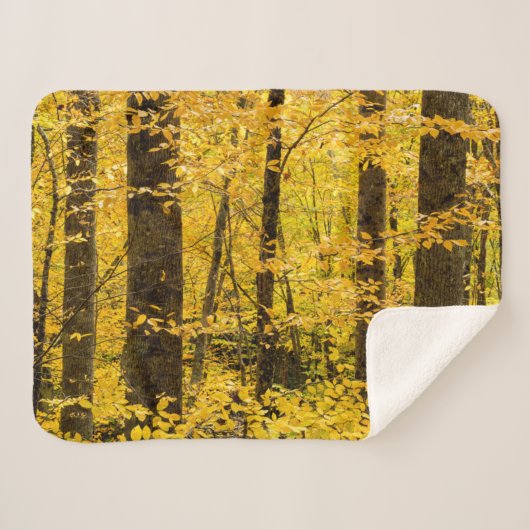 Couverture Sherpa Forêt nationale de Fall Pisgah (Devant (Horizontal))