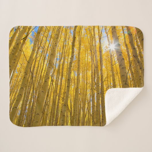 Couverture Sherpa Forêt nationale de White River (Devant (Horizontal))