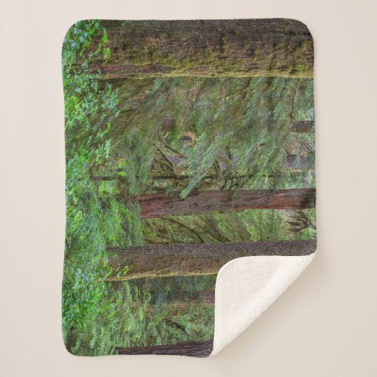 Couverture Sherpa Forêt nationale de Willamette | Oregon (Devant)