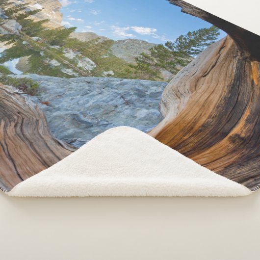 Couverture Sherpa Forêt nationale d'Inyo, Californie (3/4)