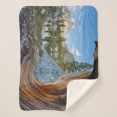 Couverture Sherpa Forêt nationale d'Inyo, Californie (Devant)