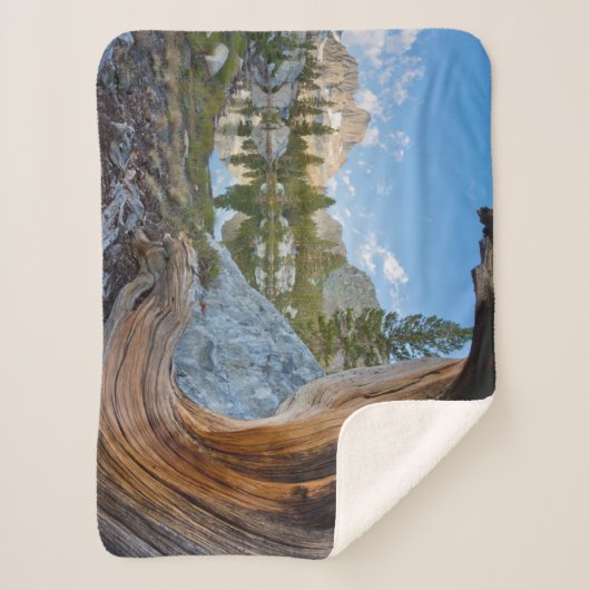 Couverture Sherpa Forêt nationale d'Inyo, Californie (Devant)