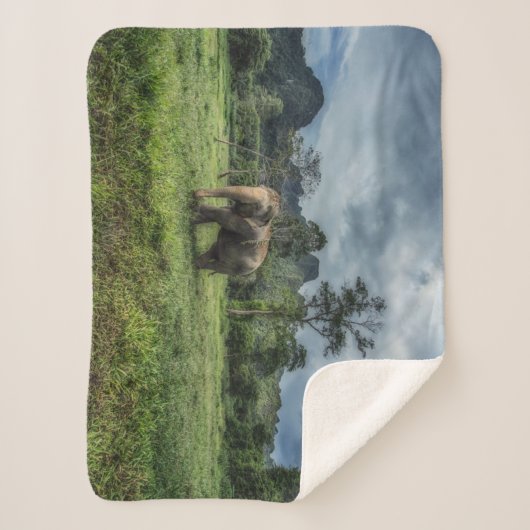 Couverture Sherpa Forêt | Parc national de Kao Sok (Devant)