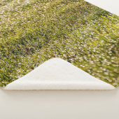 Couverture Sherpa Fresh spring green grass background, with bokeh ef (3/4)