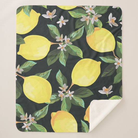 Couverture Sherpa Fruits de citron : Conception Motif transparente (Devant)