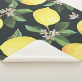 Couverture Sherpa Fruits de citron : Conception Motif transparente (3/4)