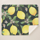 Couverture Sherpa Fruits de citron : Conception Motif transparente (Devant (Horizontal))