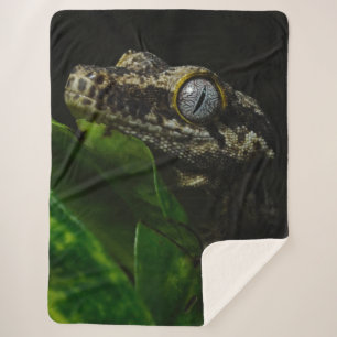 COUVERTURE SHERPA GECKO
