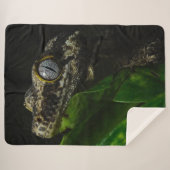 COUVERTURE SHERPA GECKO (Devant (Horizontal))