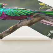 Couverture Sherpa "Gemme de la forêt tropicale" (3/4)