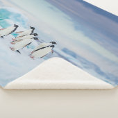 Couverture Sherpa Glace et neige | Adelie Penguins Antarctique (3/4)