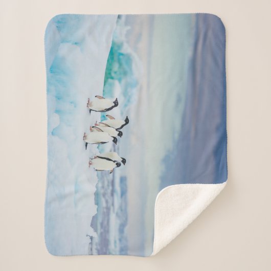 Couverture Sherpa Glace et neige | Adelie Penguins Antarctique (Devant)