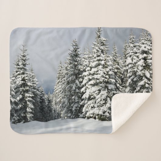 Couverture Sherpa Glace et neige | Pine Woodland, Autriche (Devant (Horizontal))