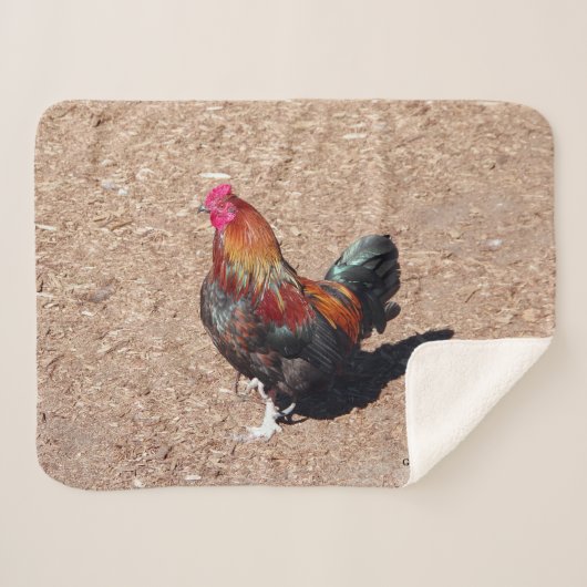 Couverture Sherpa Gold Cockerel Rooster sherpa blanket (Devant (Horizontal))