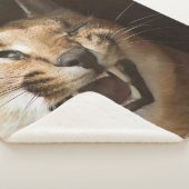 Couverture Sherpa Goofy Lynx (3/4)