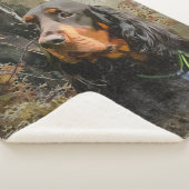 Couverture Sherpa Gordon Setter (3/4)