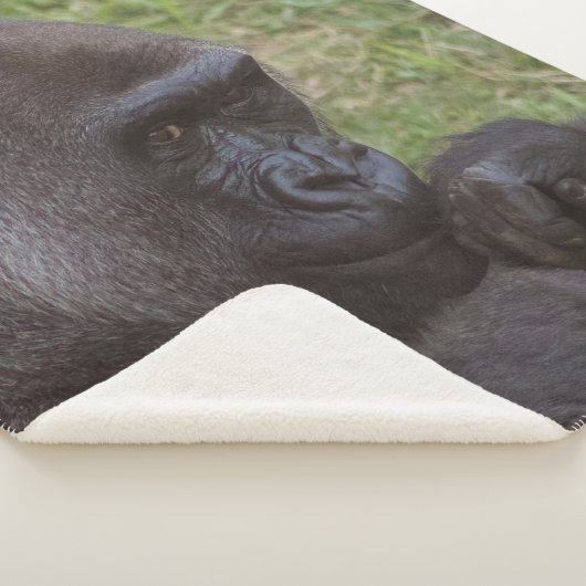 Couverture Sherpa Gorilla (3/4)