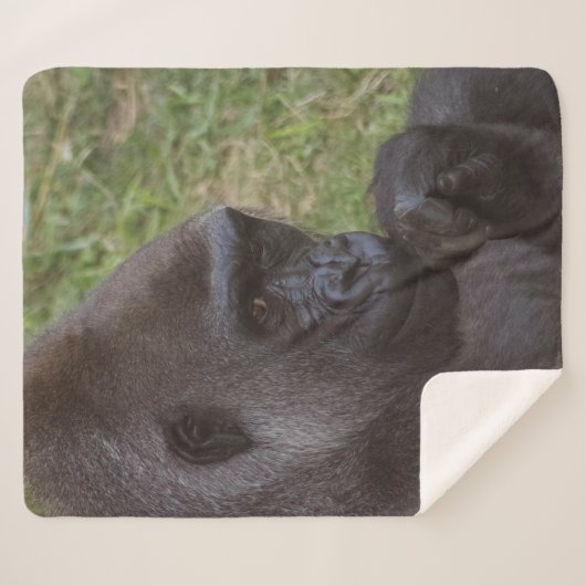 Couverture Sherpa Gorilla (Devant (Horizontal))