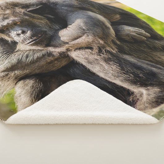 Couverture Sherpa Gorille (3/4)