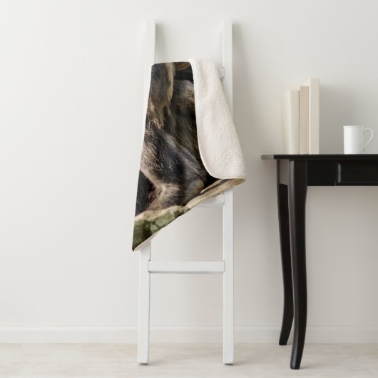 Couverture Sherpa Gorille (En situation)