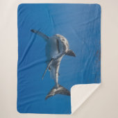 COUVERTURE SHERPA GRAND REQUIN BLANC (Devant)