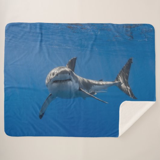 COUVERTURE SHERPA GRAND REQUIN BLANC (Devant (Horizontal))