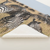 Couverture Sherpa Grant's Zebra Sherpa Blanket (3/4)