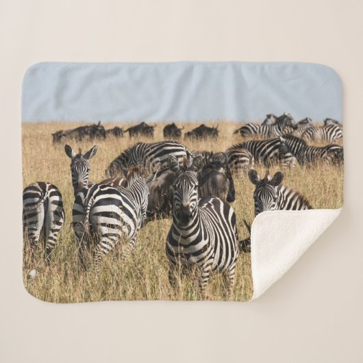 Couverture Sherpa Grant's Zebra Sherpa Blanket (Devant (Horizontal))