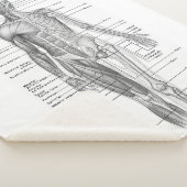 Couverture Sherpa Graphique Médicale de l'anatomie humaine (3/4)