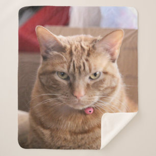 Couverture Sherpa Grave