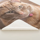 Couverture Sherpa Grave (3/4)